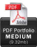 PDF Medium